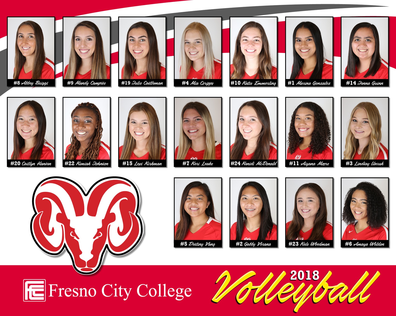 Women's Volleyball