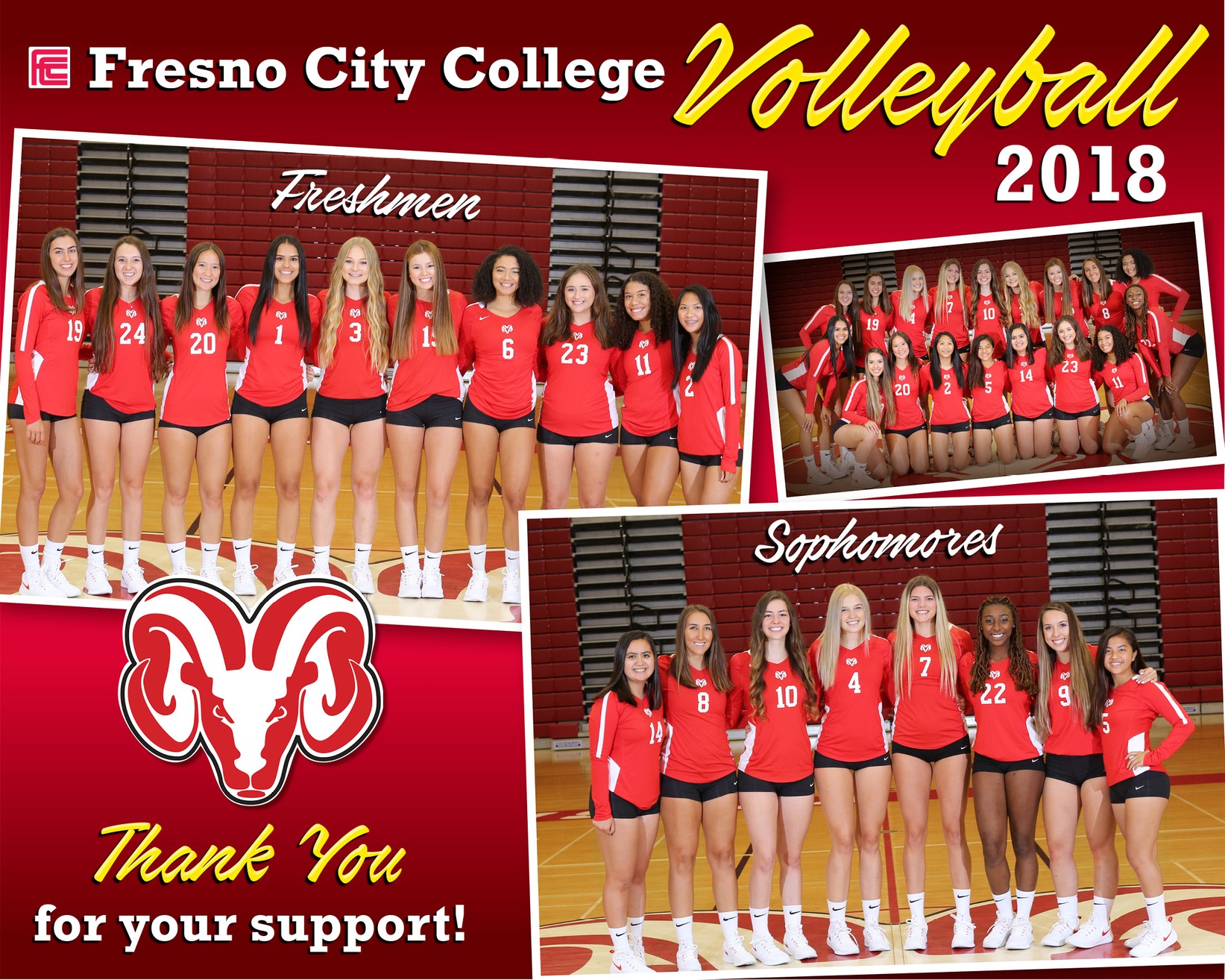 Women's Volleyball